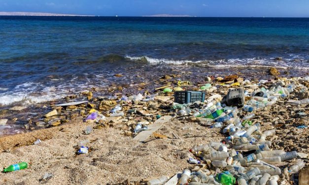 Az Adriai-tenger vize a legszennyezettebbek között Európában