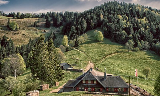 <span class="entry-title-primary">Vendéglő havas hegyek között</span> <span class="entry-subtitle">Dsida Jenő verse</span>