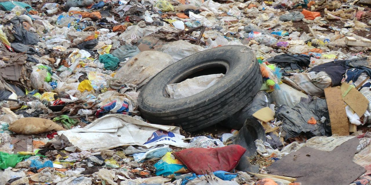 Ez helyettesítheti a műanyagokat?