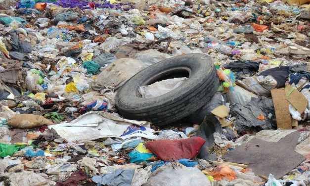 Ez helyettesítheti a műanyagokat?