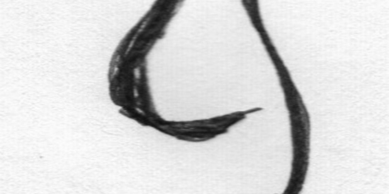 <span class="entry-title-primary">A harcukat meghurcolták</span> <span class="entry-subtitle">Baranyai Bosnyák István verse</span>