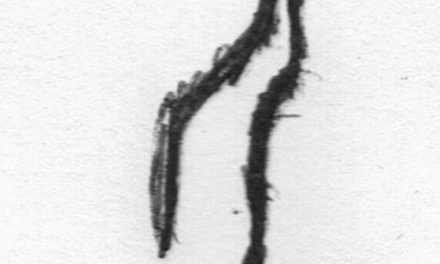 <span class="entry-title-primary">A szivárvány halála</span> <span class="entry-subtitle">Baranyai Bosnyák István verse</span>