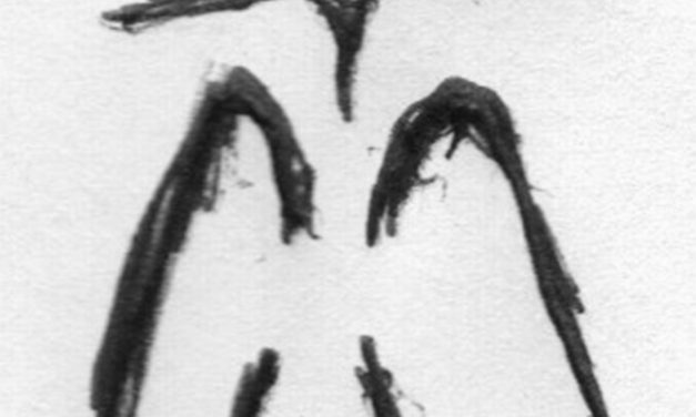 <span class="entry-title-primary">Csillagos, vén csatalóhoz</span> <span class="entry-subtitle">Baranyai Bosnyák István verse</span>