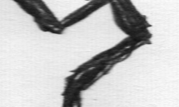 <span class="entry-title-primary">Intés sympós legényeknek</span> <span class="entry-subtitle">Baranyai Bosnyák István verse</span>