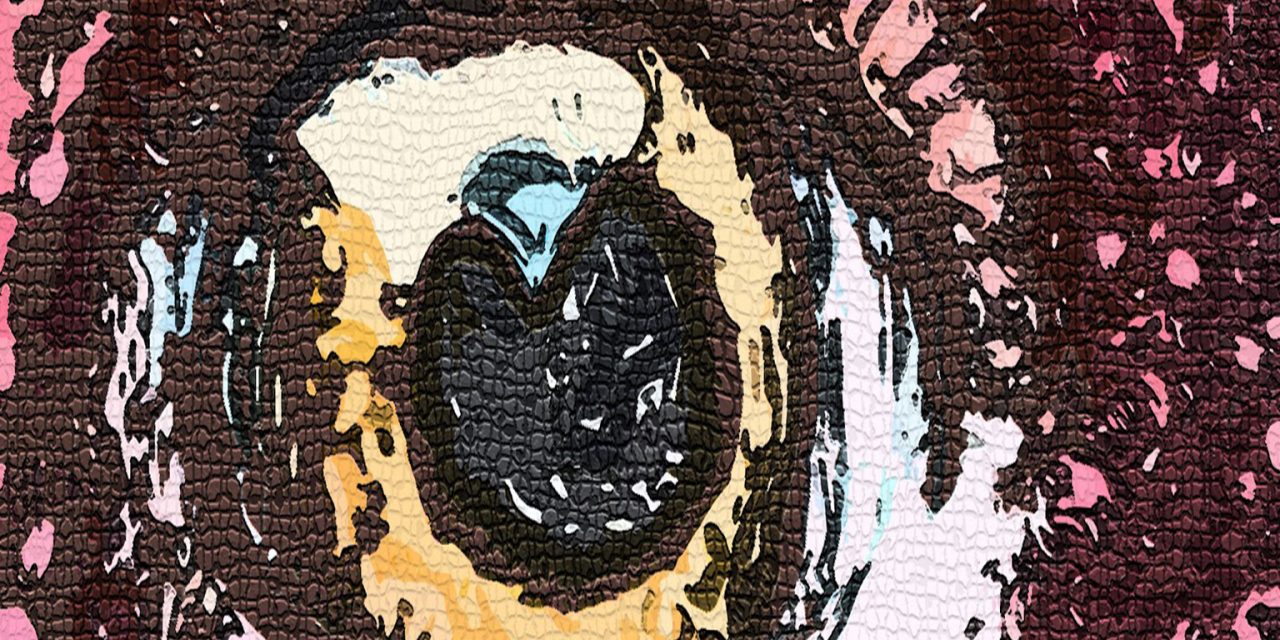 <span class="entry-title-primary">Hunyhat a máglya</span> <span class="entry-subtitle">Ady Endre verse</span>