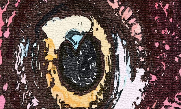 <span class="entry-title-primary">Hunyhat a máglya</span> <span class="entry-subtitle">Ady Endre verse</span>