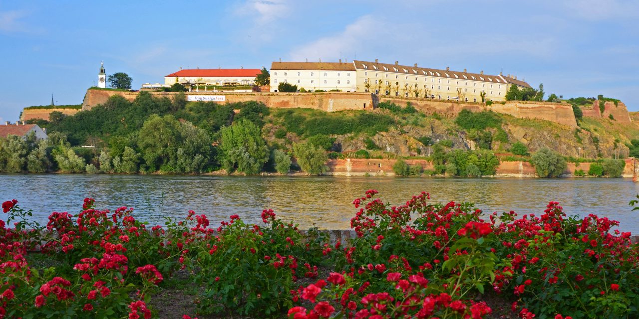 A péterváradi csata