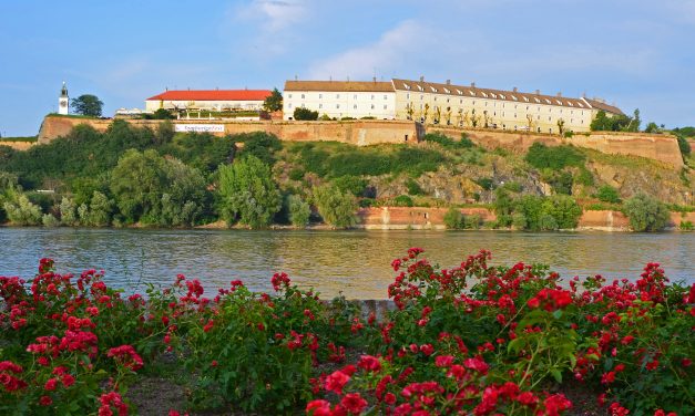 A péterváradi csata