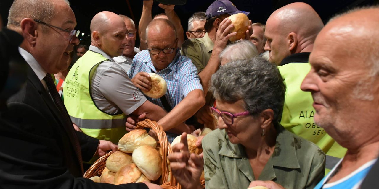 Vegetáriánus szendvicsek