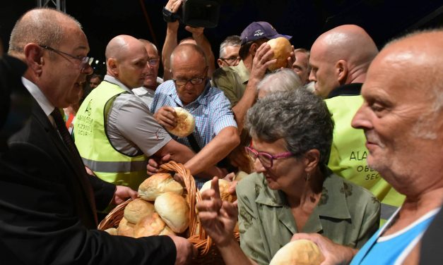 Vegetáriánus szendvicsek