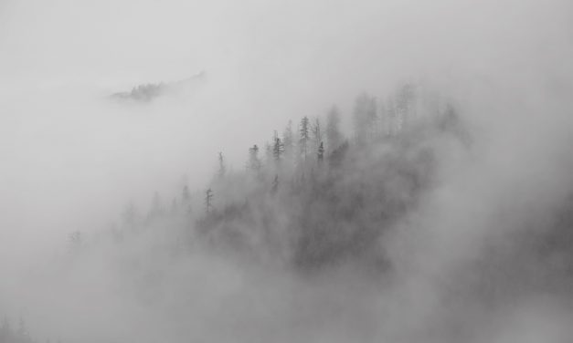 <span class="entry-title-primary">Értelmezések</span> <span class="entry-subtitle">Varga Tibor verse</span>