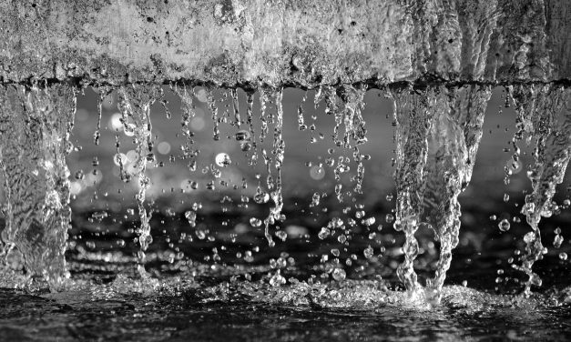 <span class="entry-title-primary">Visszanézhet, de a víz</span> <span class="entry-subtitle">Nádasdy Ádám verse</span>