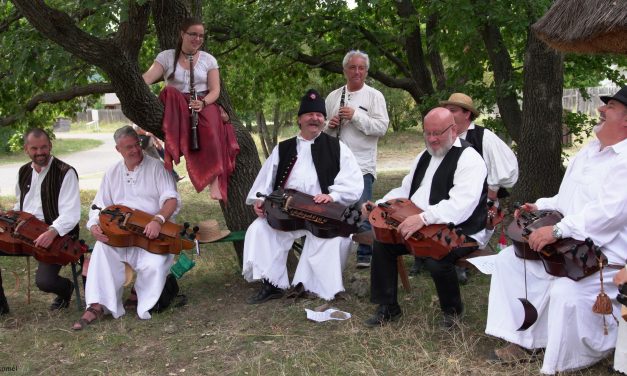 <span class="entry-title-primary">Táncházzenészekkel ötödször</span> <span class="entry-subtitle">Ópusztaszeren rendezik idén a seregszemlét</span>