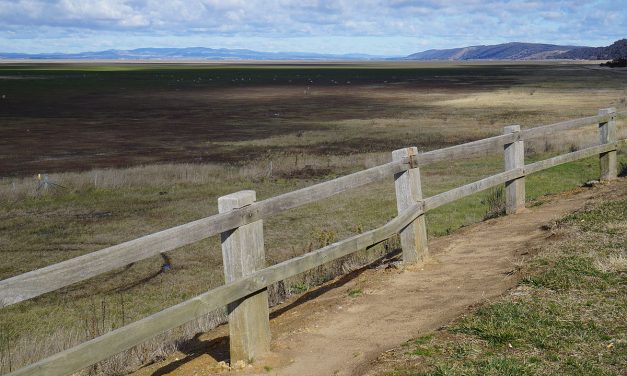 Száz százalék a szárazság Ausztráliában