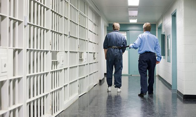 Őrizetben az újvidéki baltás támadás feltételezett elkövetői