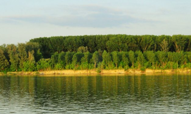 A Dunába fulladhatott egy 16 éves fiú Belcsénynél