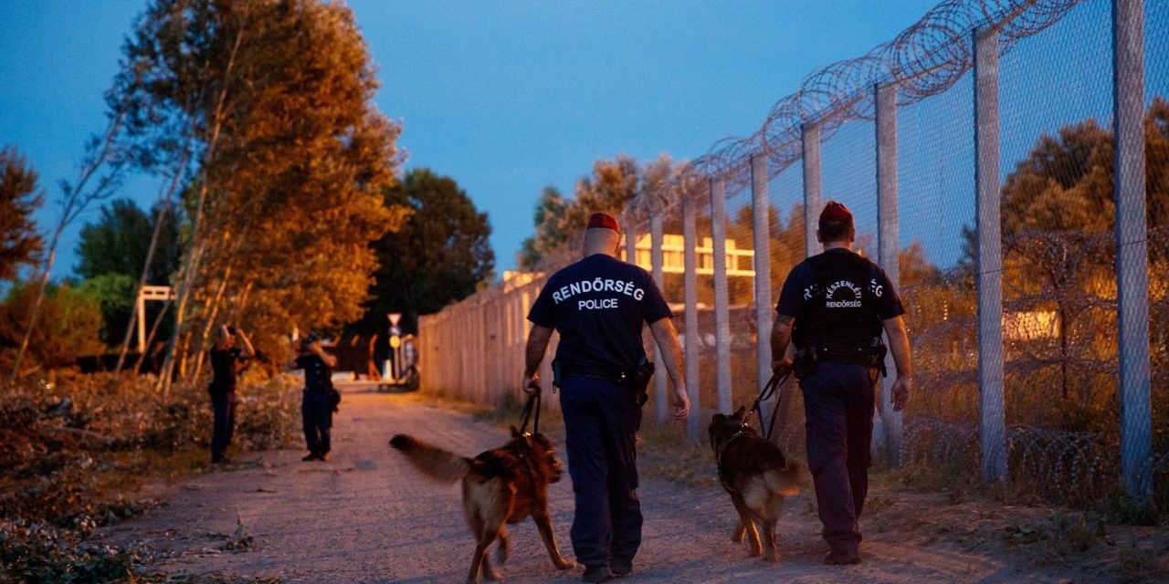 Koszovói és iráni határsértőket fogtak el Röszkénél