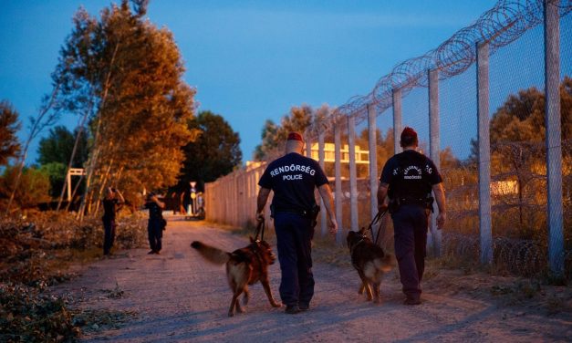 Továbbra is van migráns a Szabadka környékbeli erdőkben