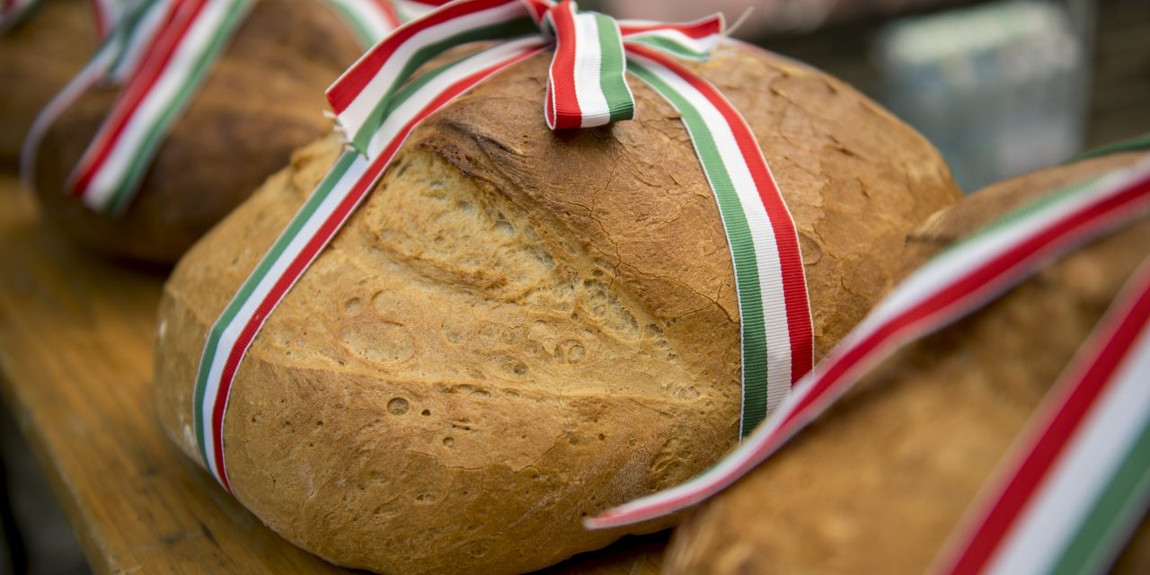 <span class="entry-title-primary">Vajdasági búza is került a magyarok kenyerébe</span> <span class="entry-subtitle">A kárpátaljai beregszászi járásban lévő Mezőgecsén ünnepélyesen összeöntötték a tizenötmillió búzaszemet </span>