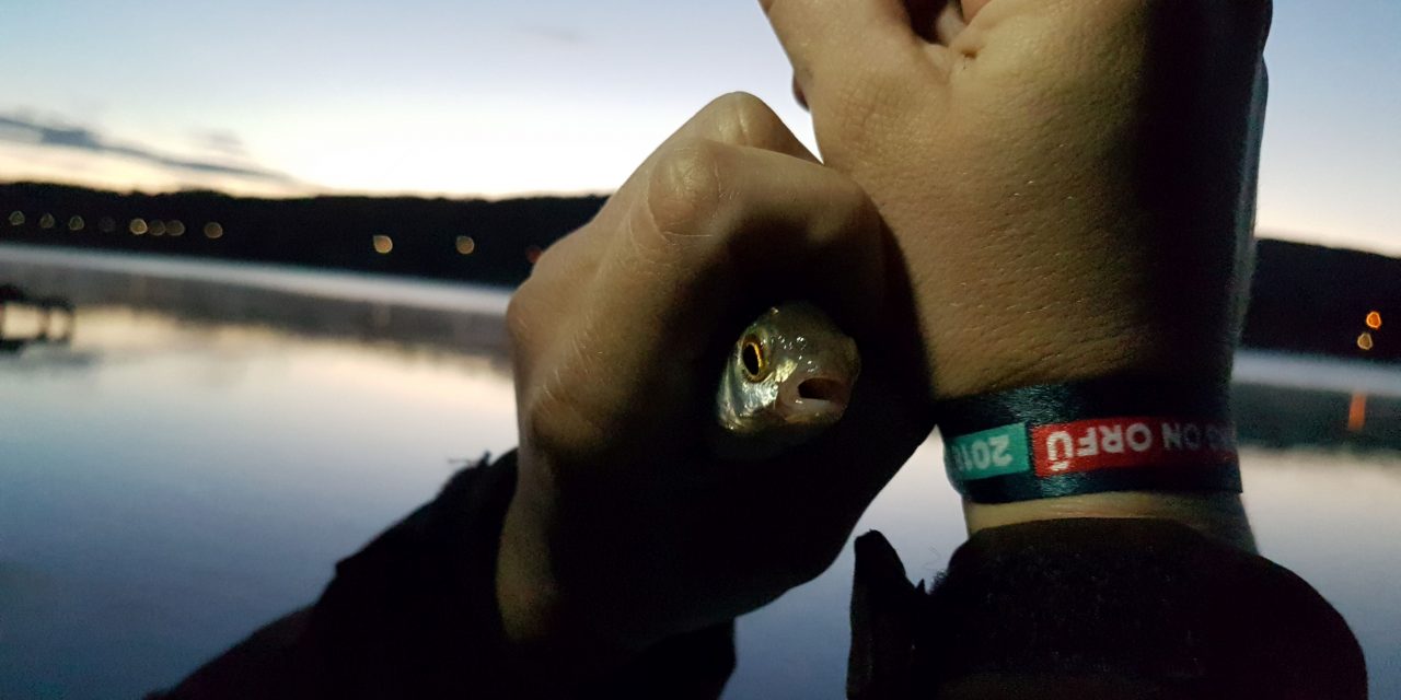 <span class="entry-title-primary">Barlangban dobolok, Mecseken táncolok (III.)</span> <span class="entry-subtitle">FISHING ON ORFŰ 2018</span>