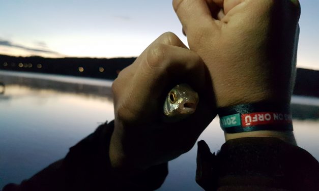 Barlangban dobolok, Mecseken táncolok (III.)