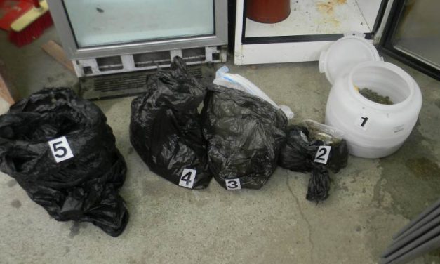 Két kilogramm marihuánát próbált Magyarországra csempészni egy adai férfi