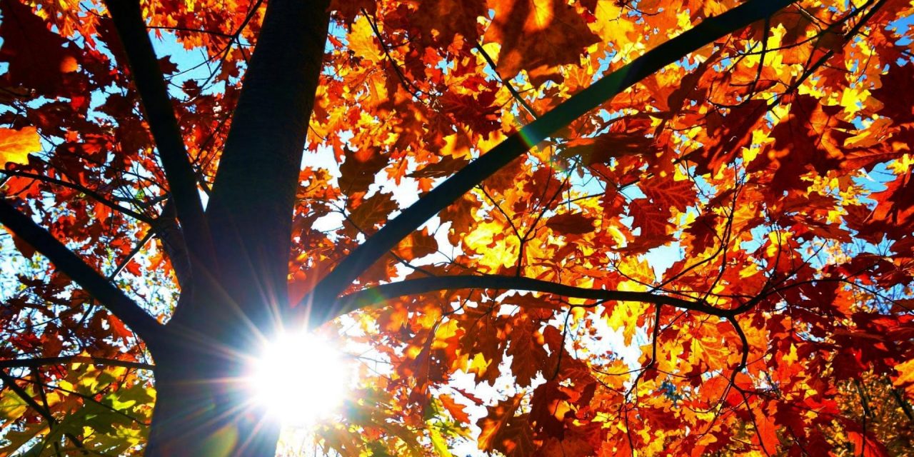 Kellemes meleg, de csapadék is várható