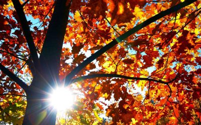 Ilyen időjárás lesz októberben