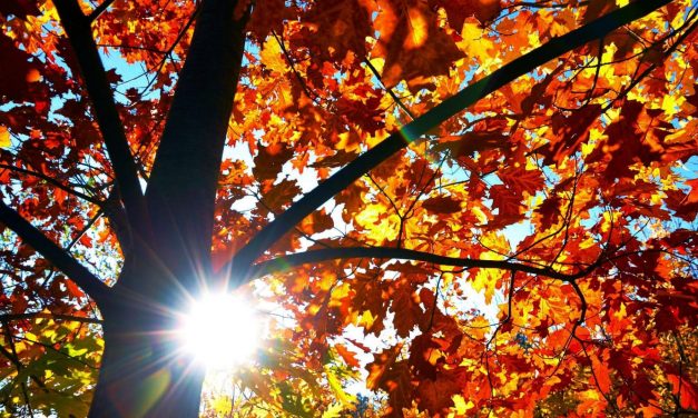 Kellemes meleg, de csapadék is várható