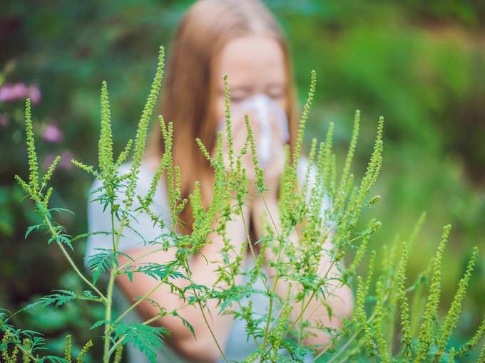 <span class="entry-title-primary">Komoly bírságra számíthat, aki ezt nem teszi meg</span> <span class="entry-subtitle">A lakosok kötelesek irtani a portájukon lévő parlagfüvet</span>