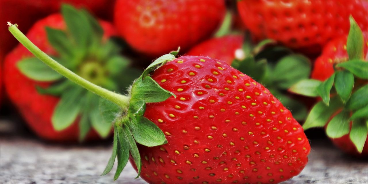 Elfogták az eprekbe tűket rejtő ausztrál fiatalt