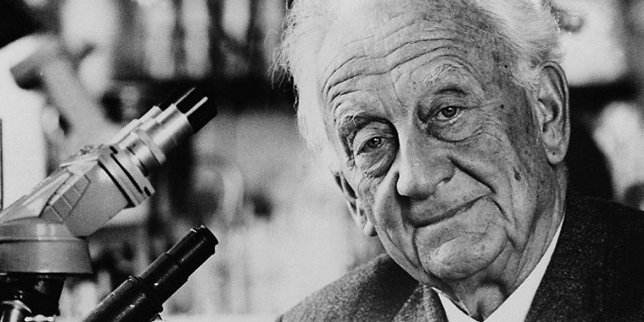 125 évvel ezelőtt született Szent-Györgyi Albert