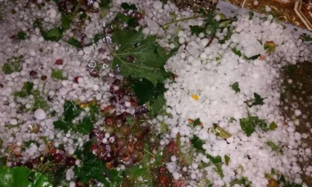 Elverte a jég az őszi termést Udvarszálláson