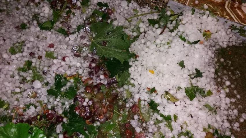 Elverte a jég az őszi termést Udvarszálláson