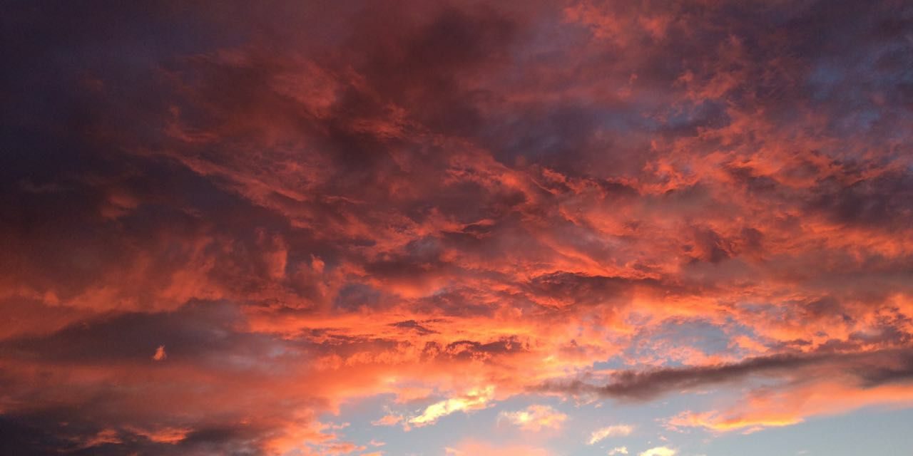 <span class="entry-title-primary">Panoptika</span> <span class="entry-subtitle">Pálfi Ágnes verse</span>