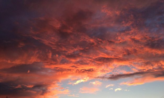 <span class="entry-title-primary">Panoptika</span> <span class="entry-subtitle">Pálfi Ágnes verse</span>