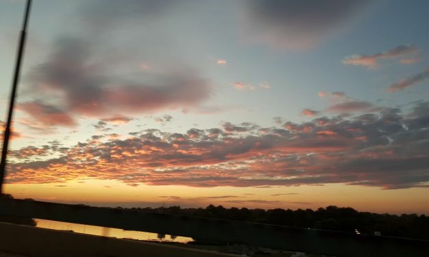 <span class="entry-title-primary">Ödipusz</span> <span class="entry-subtitle">Pálfi Ágnes verse</span>