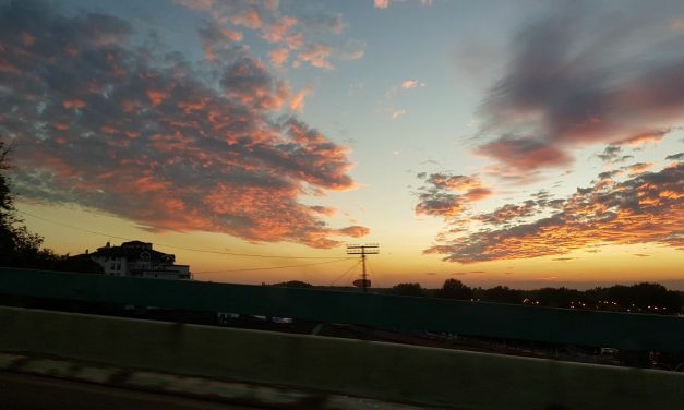 <span class="entry-title-primary">Nyelvromlás</span> <span class="entry-subtitle">Szentgyörgyi László verse</span>