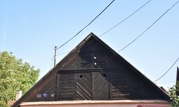 Igazi „zentaikum” – Napsugaras oromfalak