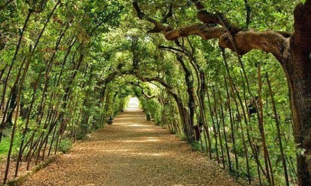 <span class="entry-title-primary">III. szonett</span> <span class="entry-subtitle">William Shakespeare költeménye</span>