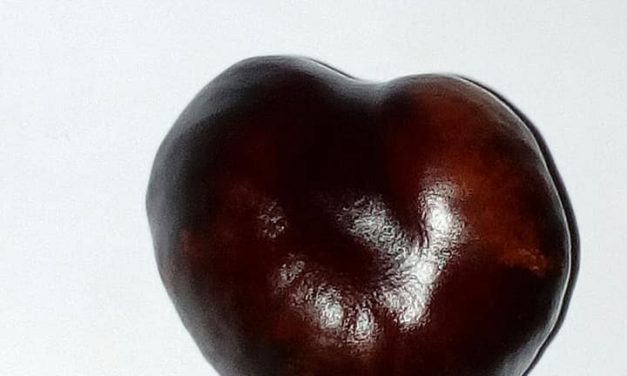 <span class="entry-title-primary">Szerelmes ének</span> <span class="entry-subtitle">Szapphó verse</span>