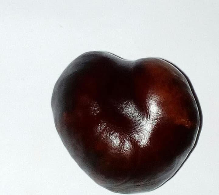 <span class="entry-title-primary">Szerelmes ének</span> <span class="entry-subtitle">Szapphó verse</span>