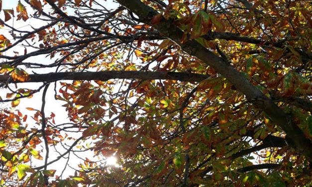 <span class="entry-title-primary">Úgy tűnik nékem</span> <span class="entry-subtitle">Szapphó verse</span>