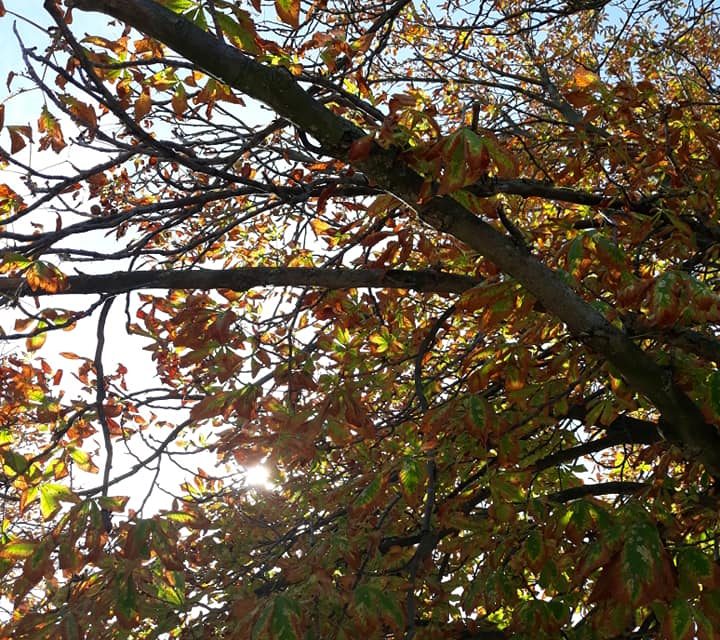 <span class="entry-title-primary">Úgy tűnik nékem</span> <span class="entry-subtitle">Szapphó verse</span>