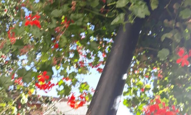 <span class="entry-title-primary">XXII. szonett</span> <span class="entry-subtitle">William Shakespeare költeménye</span>