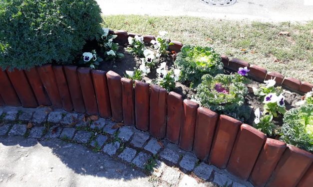 <span class="entry-title-primary">XXV. szonett</span> <span class="entry-subtitle">William Shakespeare költeménye</span>