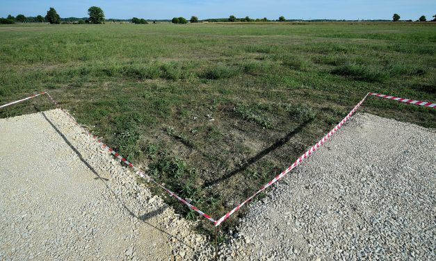 <span class="entry-title-primary">XV. szonett</span> <span class="entry-subtitle">William Shakespeare költeménye</span>