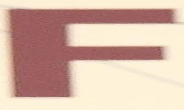 <span class="entry-title-primary">Az örök virág</span> <span class="entry-subtitle">Németi Anett verse</span>