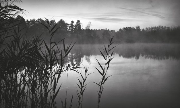 <span class="entry-title-primary">Negyvenegyedik levél</span> <span class="entry-subtitle">Mikus Vilmos, alias T. Morin verse</span>