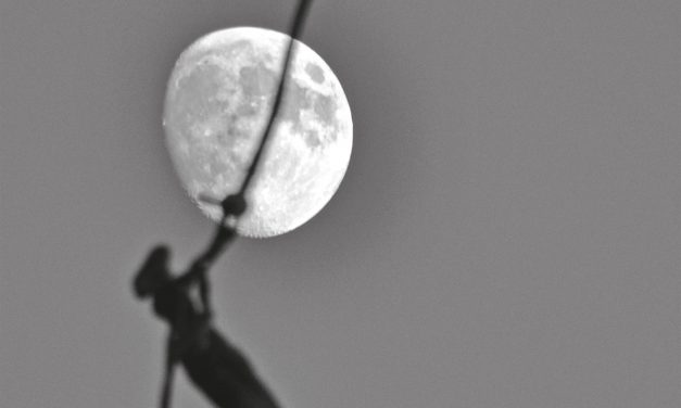 <span class="entry-title-primary">Zuhanás</span> <span class="entry-subtitle">Lengyel János verse</span>